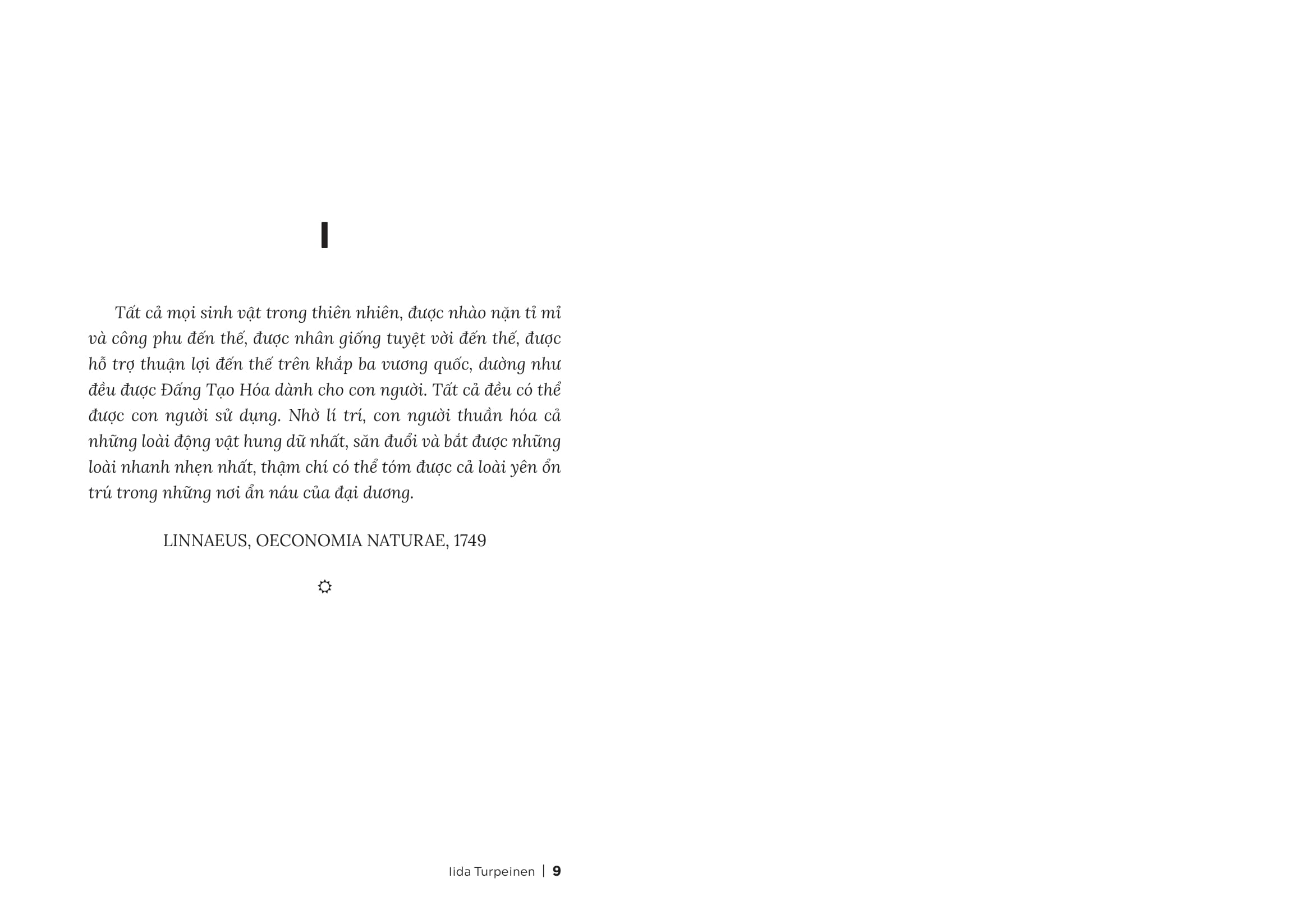 Nàng Tiên Cá Cuối Cùng - Ảnh 4