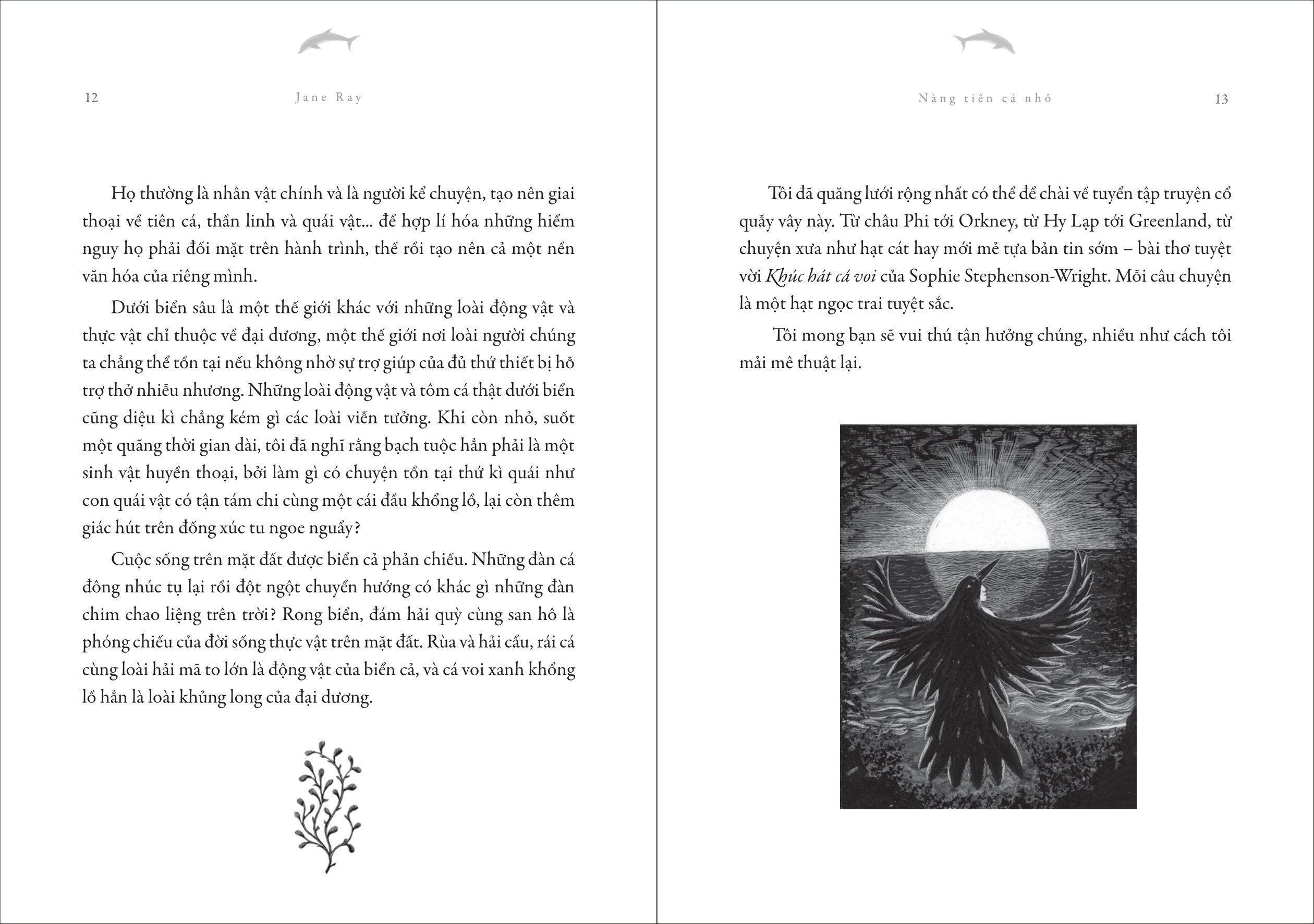 nàng tiên cá nhỏ và những chuyện kể chốn biển xanh - Ảnh 5