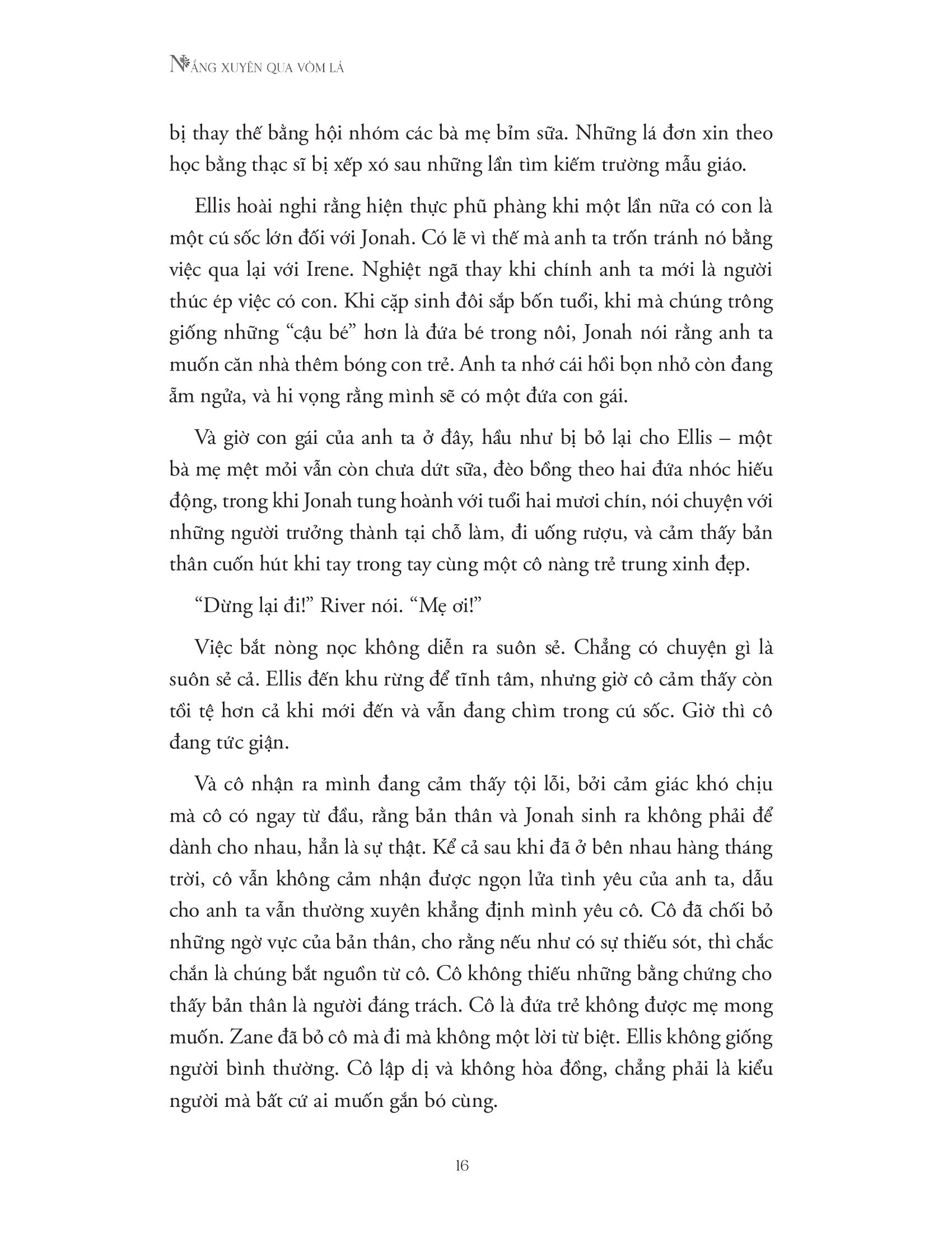 nắng xuyên qua vòm lá - Ảnh 12