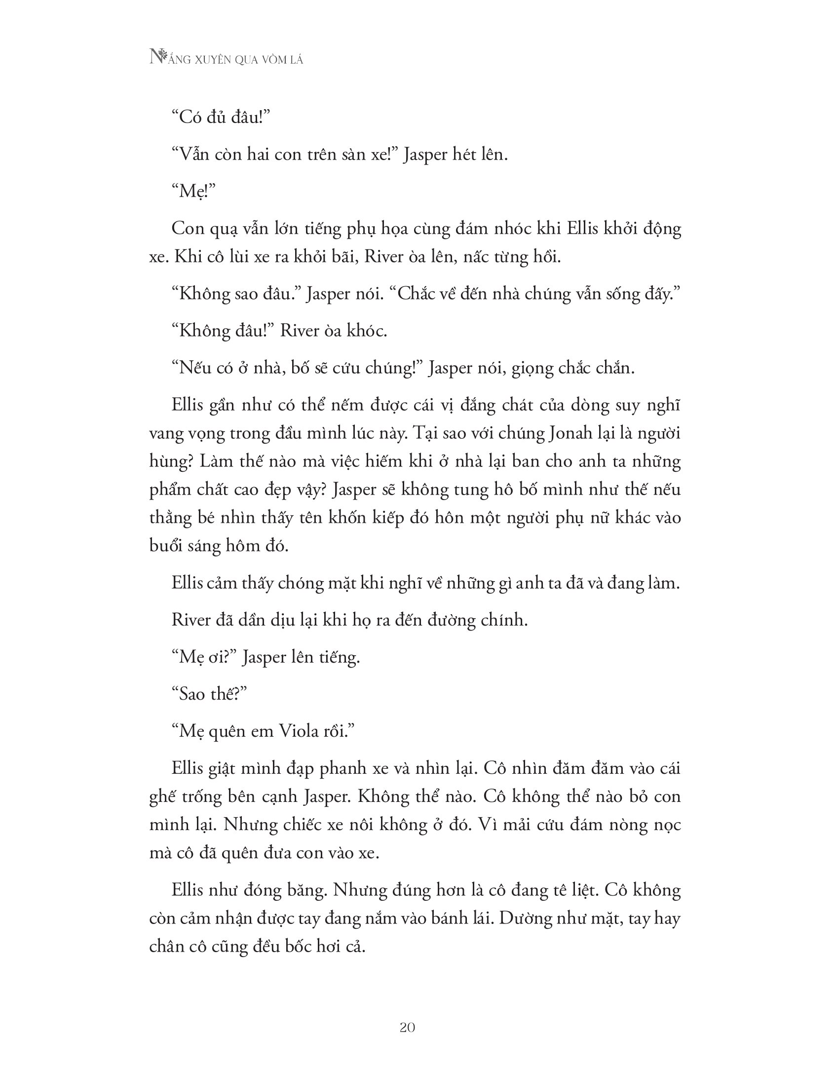 nắng xuyên qua vòm lá - Ảnh 16