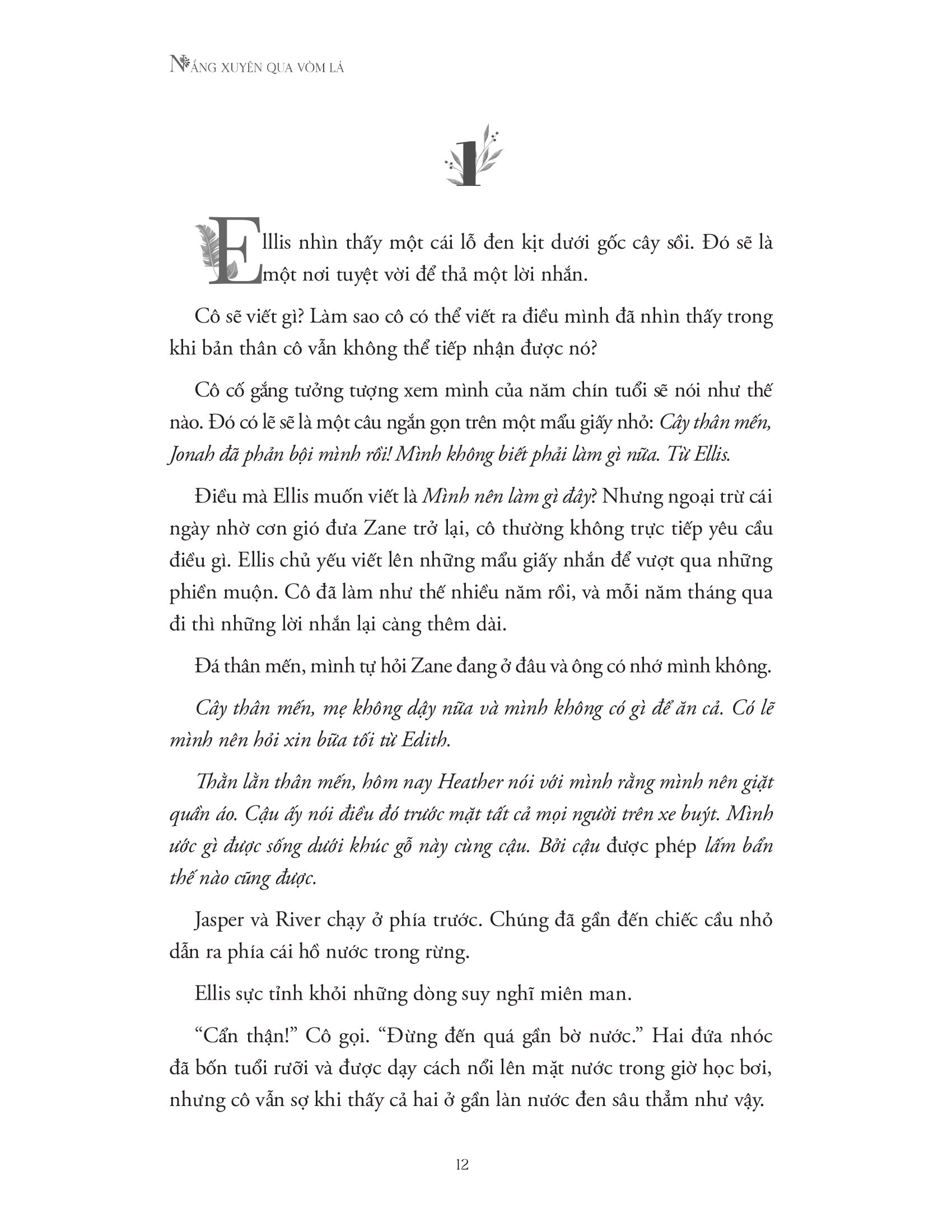 nắng xuyên qua vòm lá - Ảnh 8