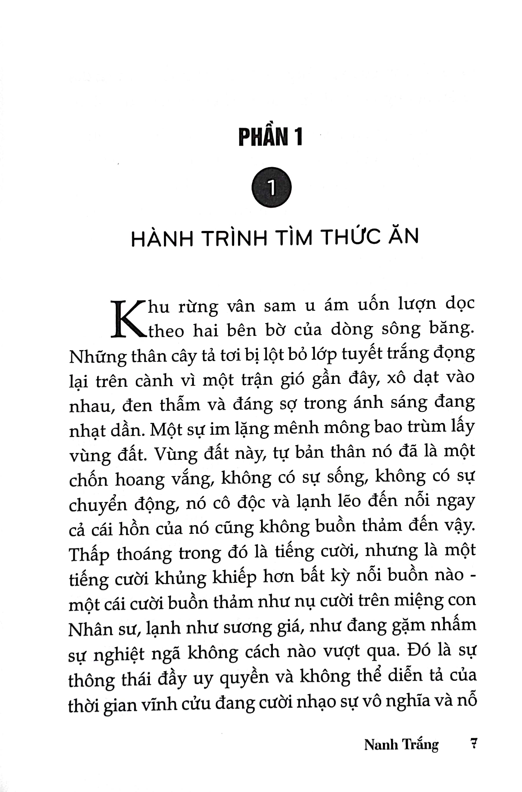 nanh trắng - bìa cứng - Ảnh 4