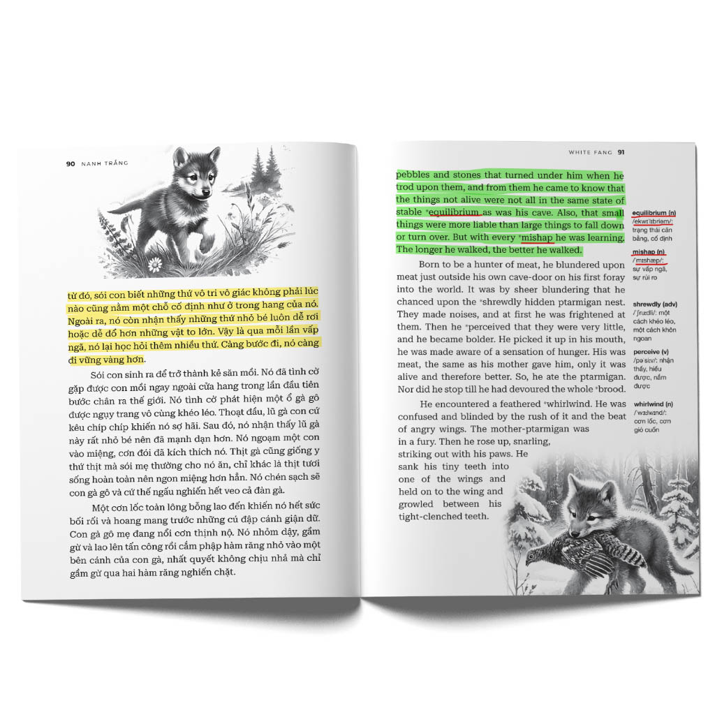 nanh trắng - white fang (song ngữ) - Ảnh 4