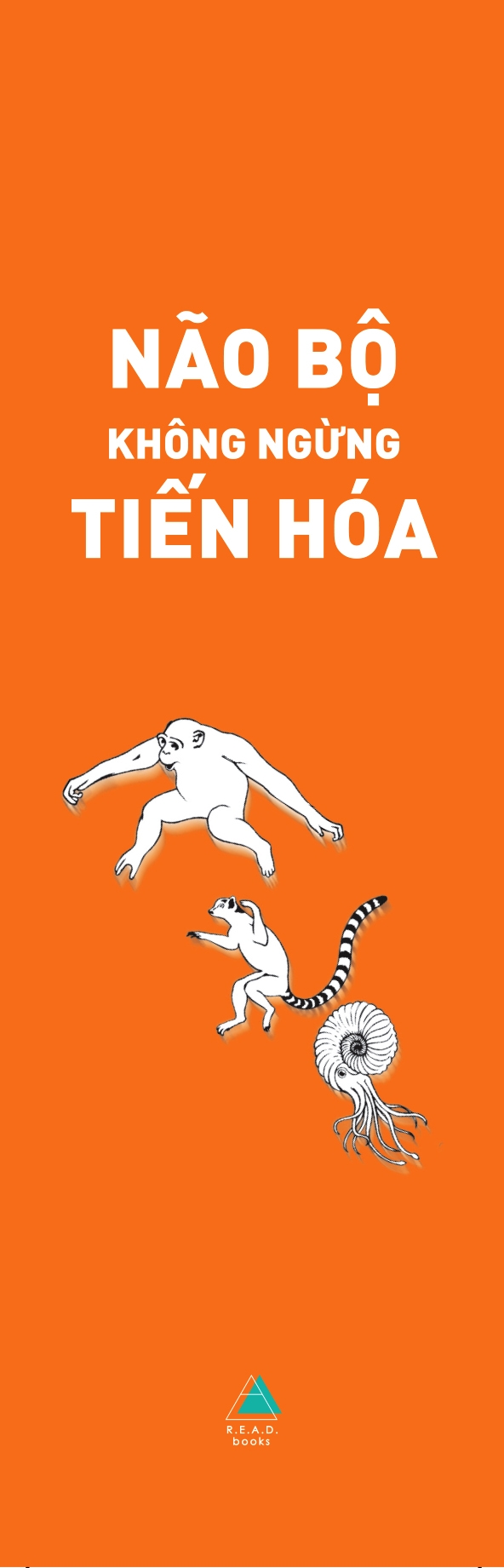 não bộ không ngừng tiến hóa: trí thông minh của bạn đến từ đâu? - tặng kèm bookmark - Ảnh 3