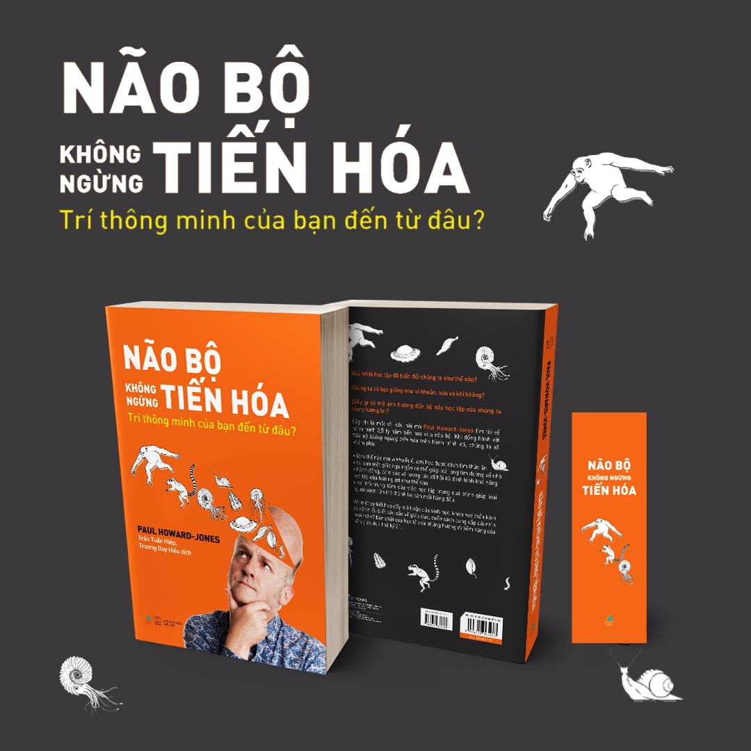 não bộ không ngừng tiến hóa: trí thông minh của bạn đến từ đâu? - tặng kèm bookmark - Ảnh 4