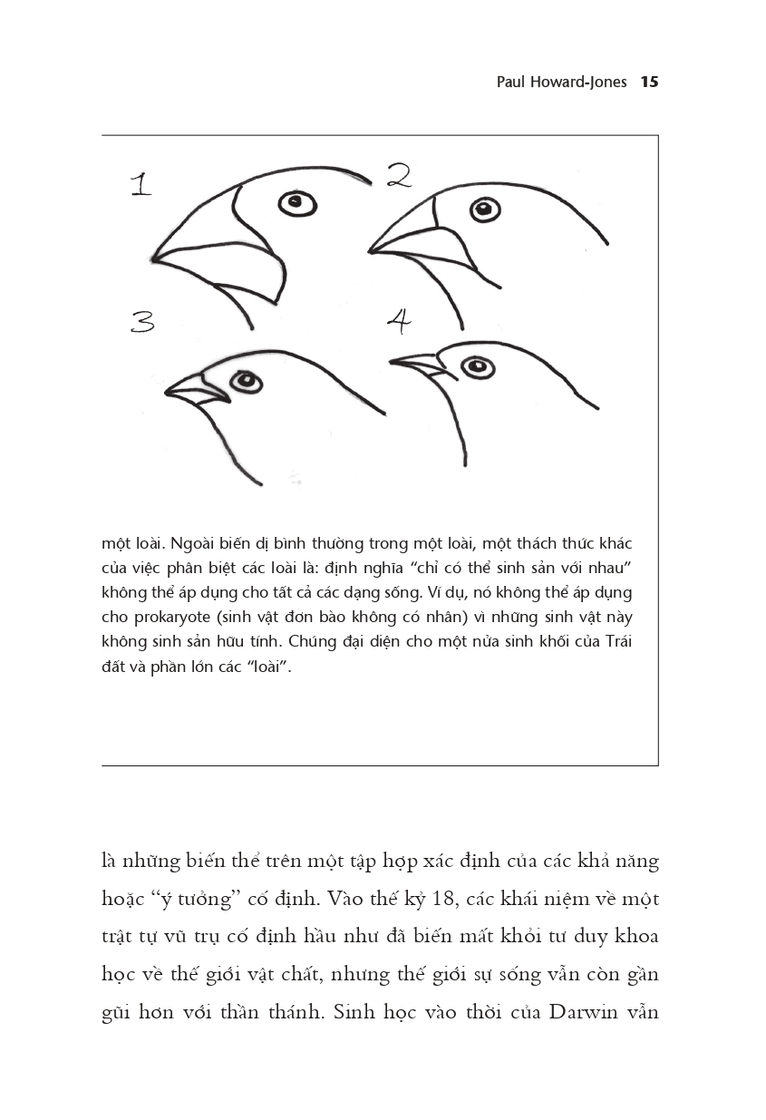 não bộ không ngừng tiến hóa: trí thông minh của bạn đến từ đâu? - tặng kèm bookmark - Ảnh 7