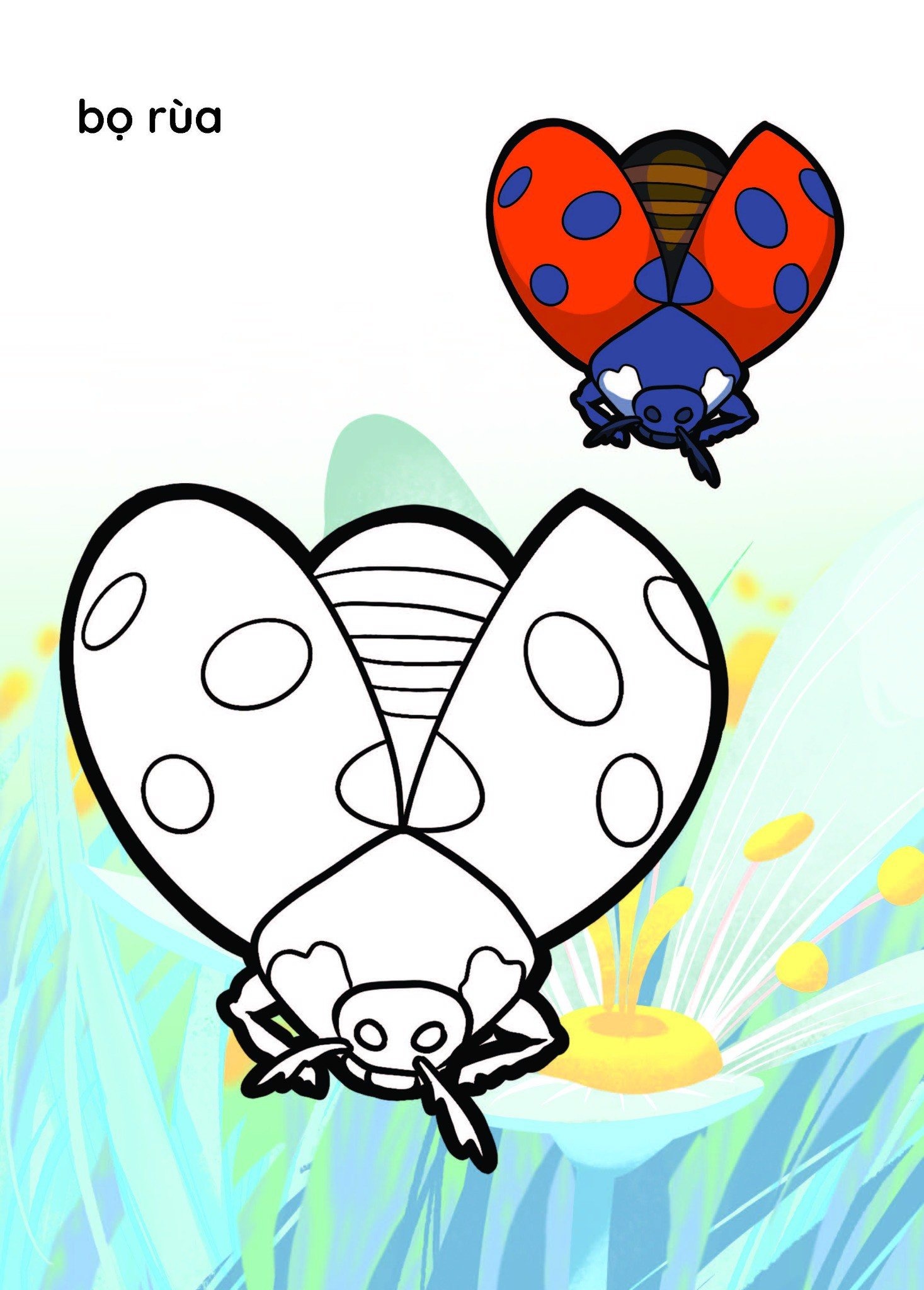 nào mình cùng tô màu nhé! - côn trùng - Ảnh 3