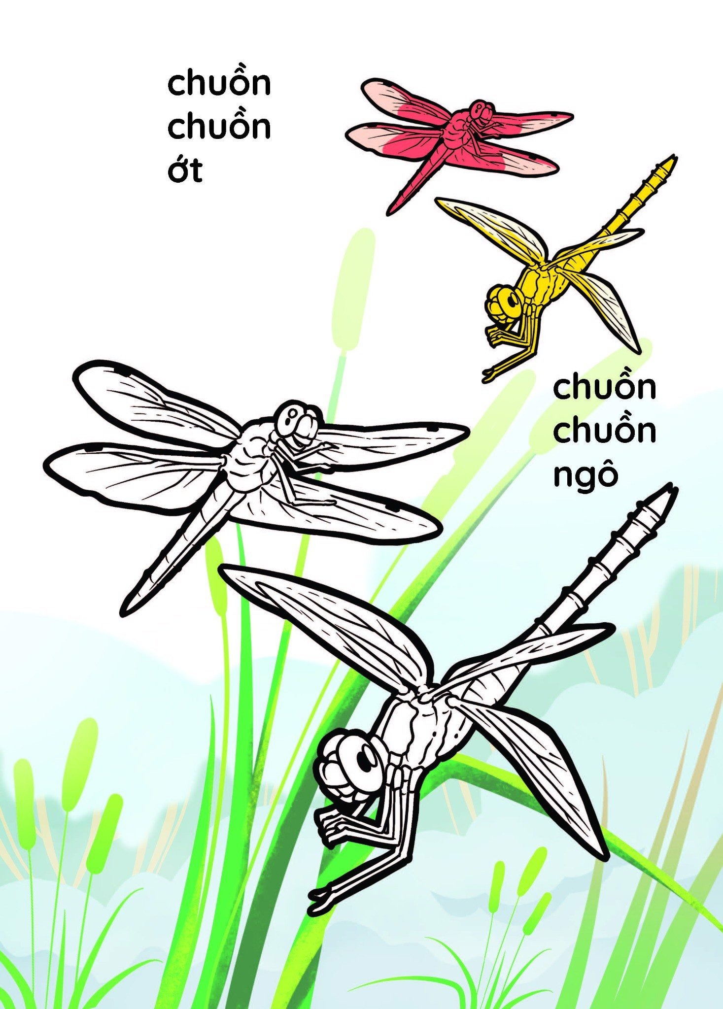 nào mình cùng tô màu nhé! - côn trùng - Ảnh 5