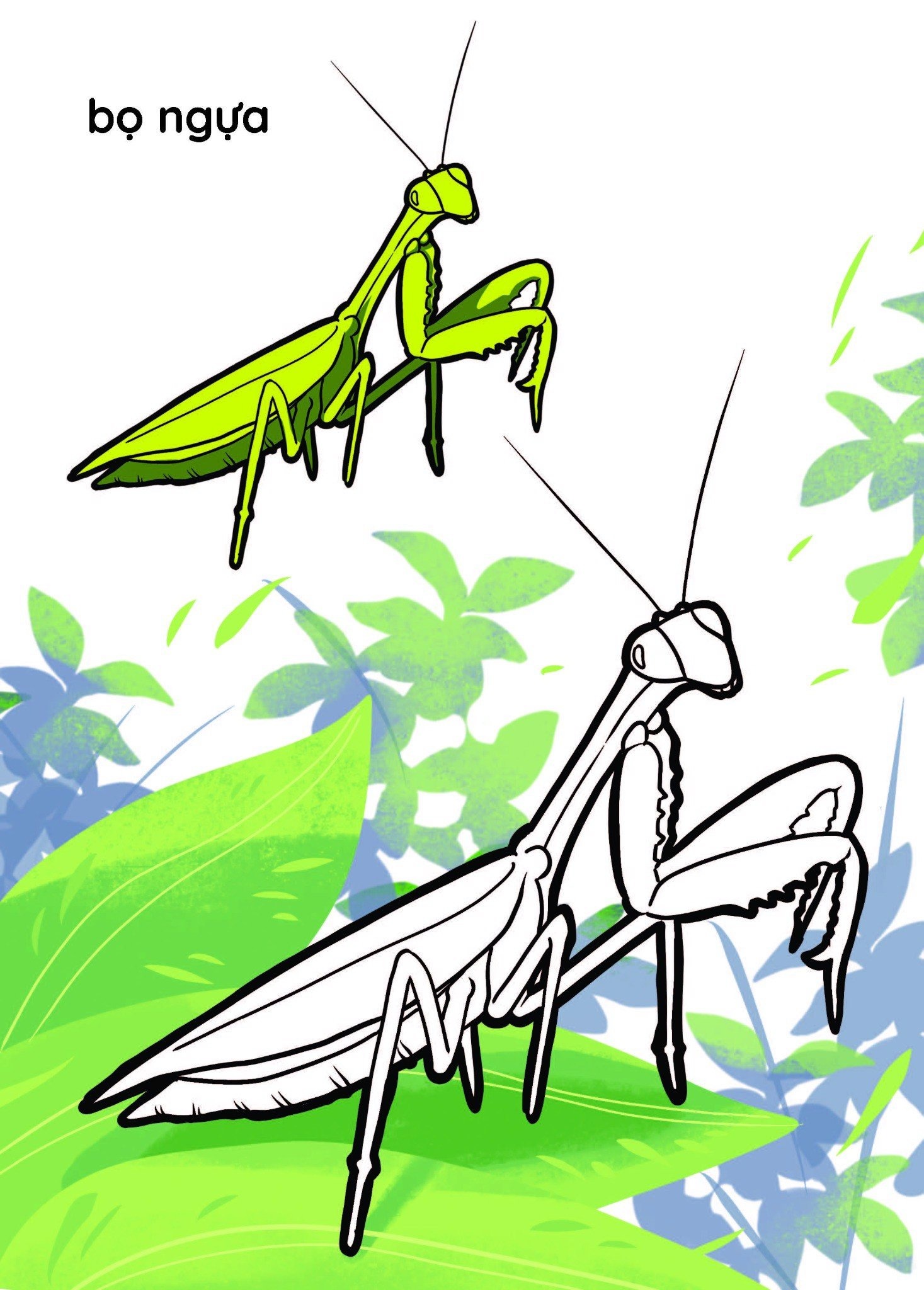 nào mình cùng tô màu nhé! - côn trùng - Ảnh 6