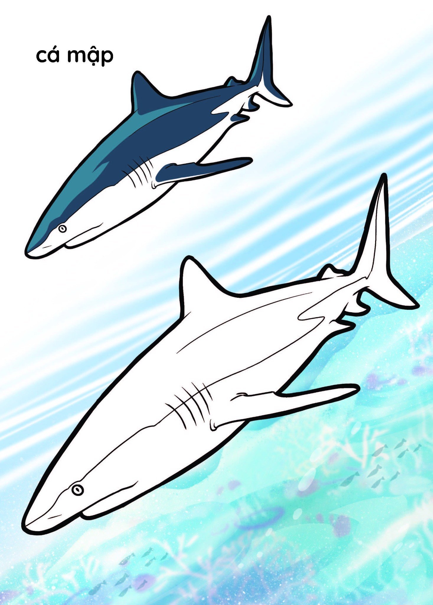 nào mình cùng tô màu nhé! - đại dương - Ảnh 5