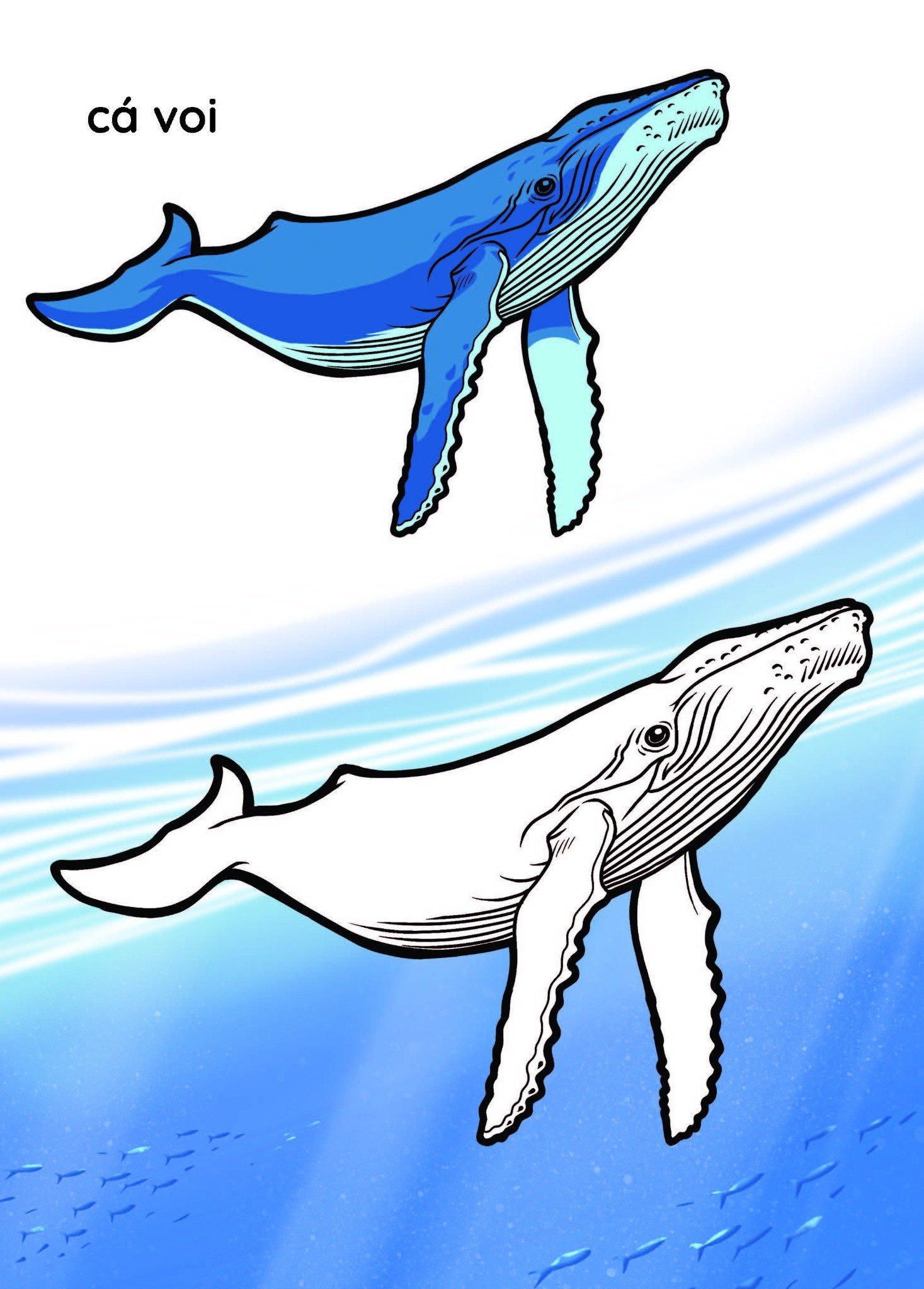 nào mình cùng tô màu nhé! - đại dương - Ảnh 6