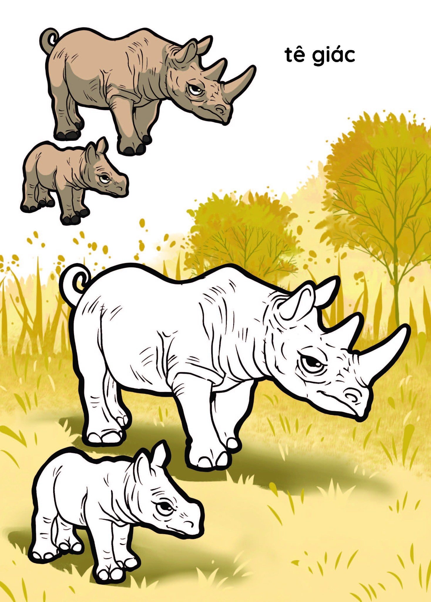 nào mình cùng tô màu nhé! - rừng xanh - Ảnh 6