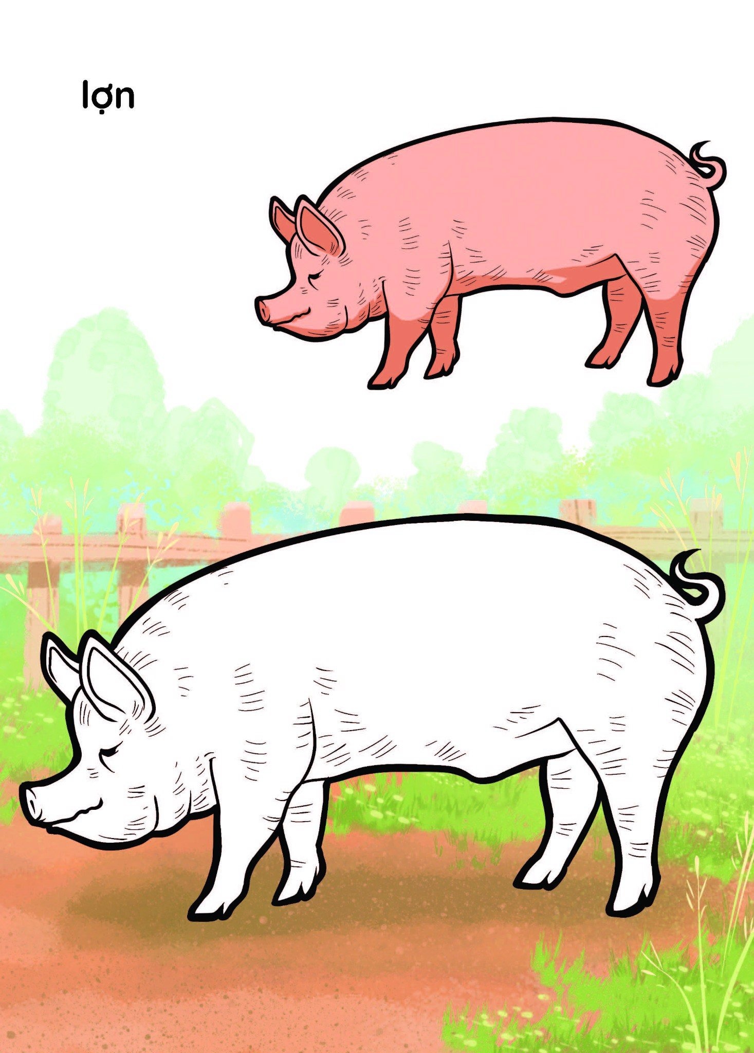 nào mình cùng tô màu nhé! - vật nuôi - Ảnh 5