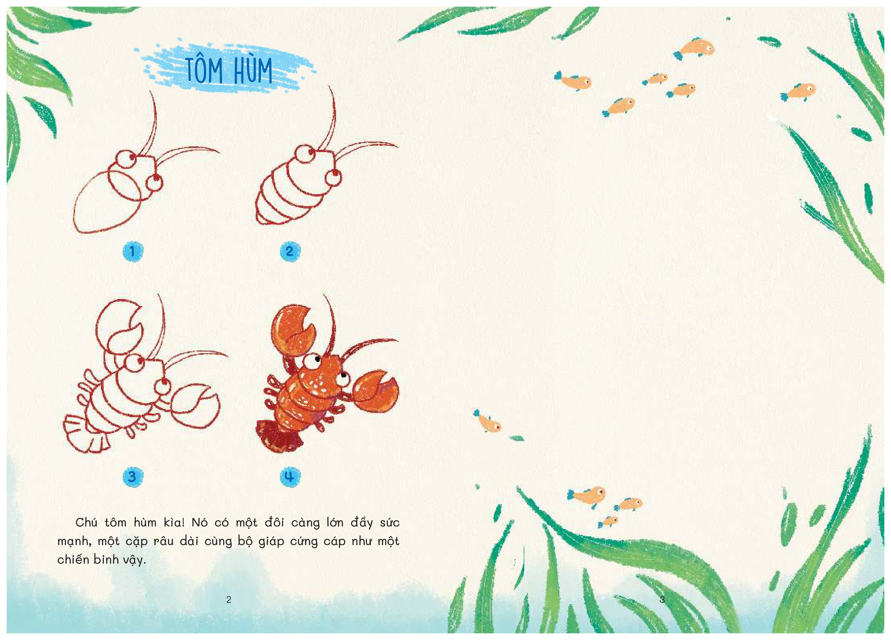 nào mình cùng vẽ - khám phá đại dương - Ảnh 4