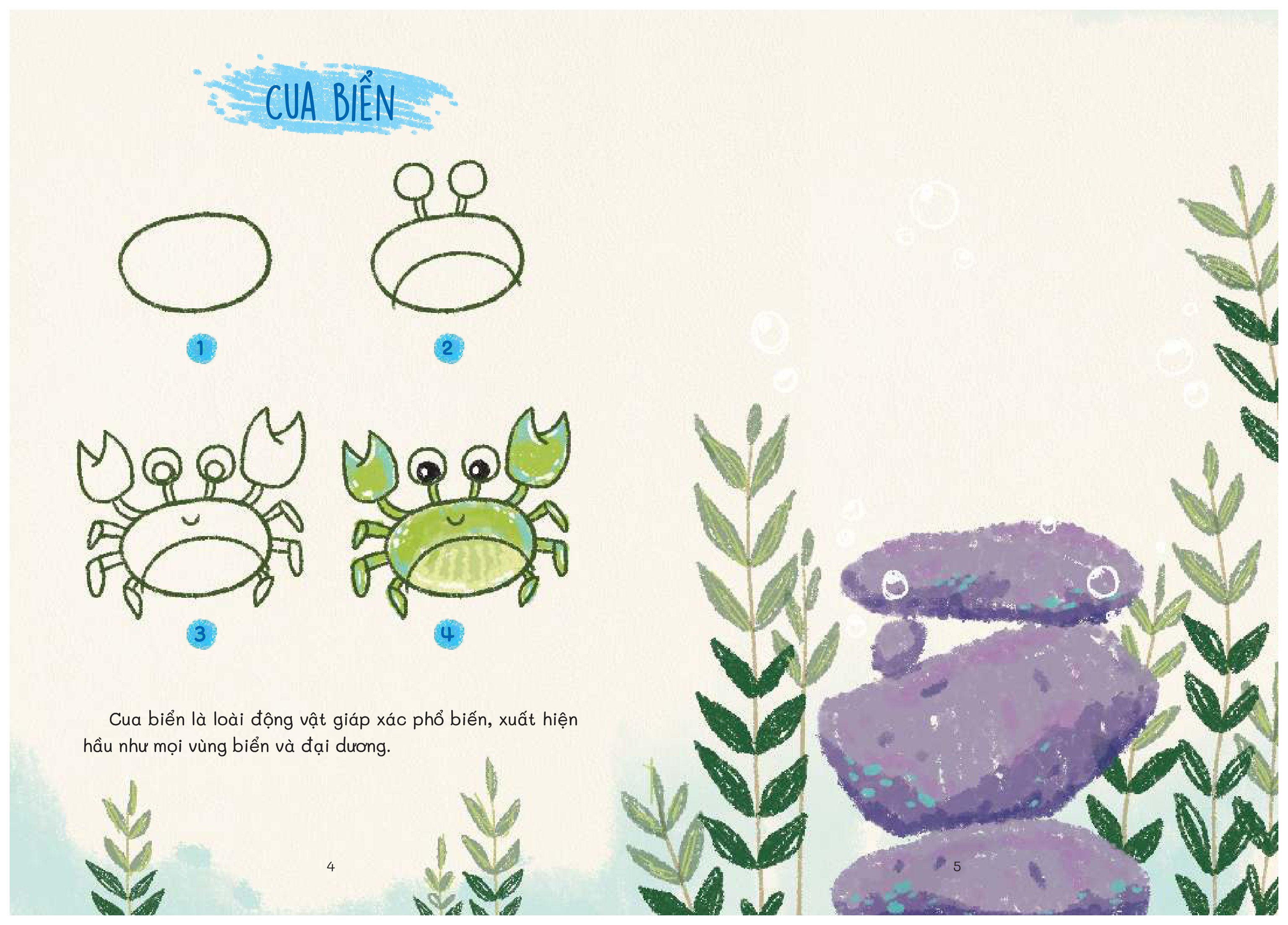 nào mình cùng vẽ - khám phá đại dương - Ảnh 5