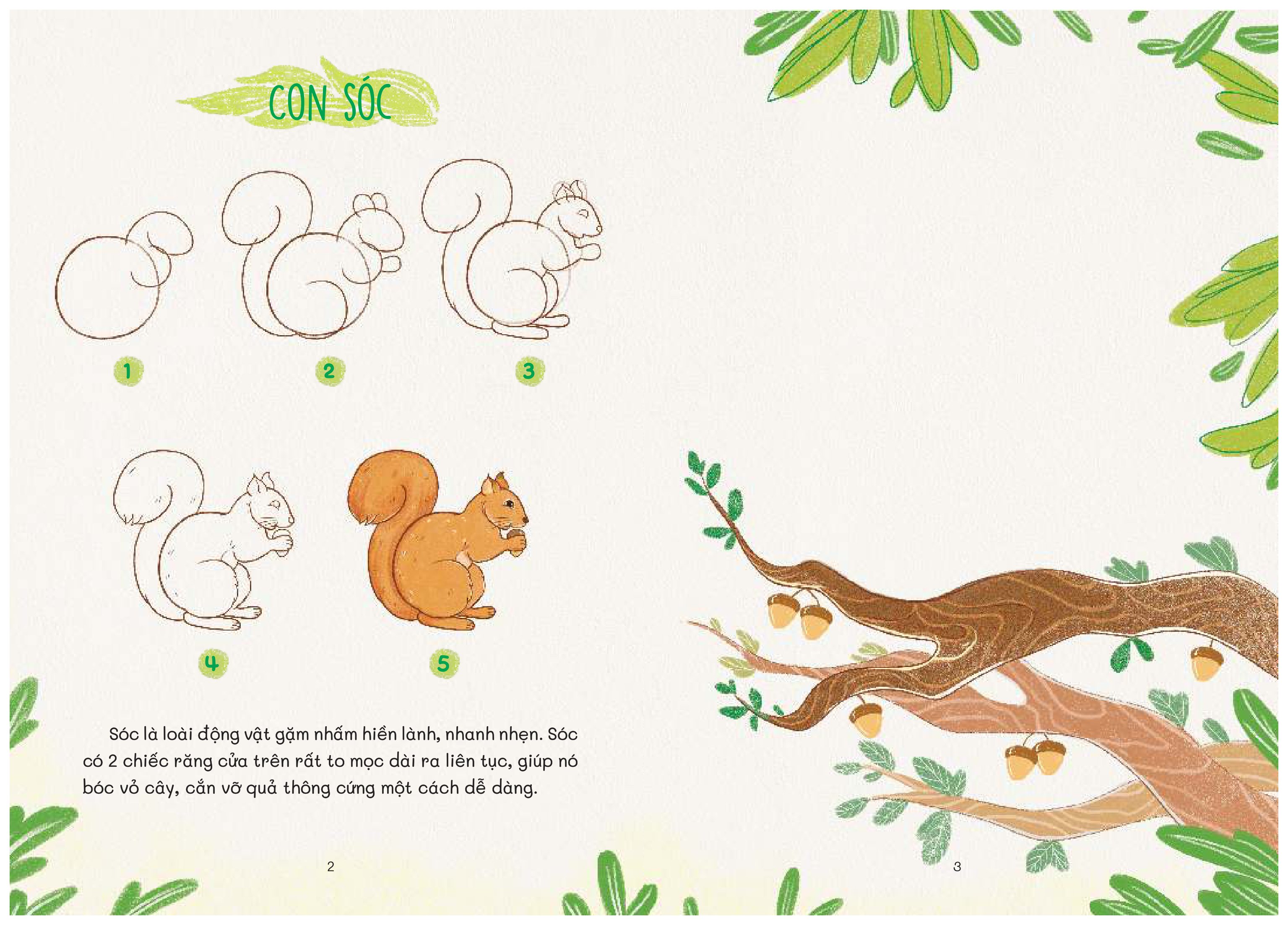 nào mình cùng vẽ - rừng xanh bí ẩn - Ảnh 4