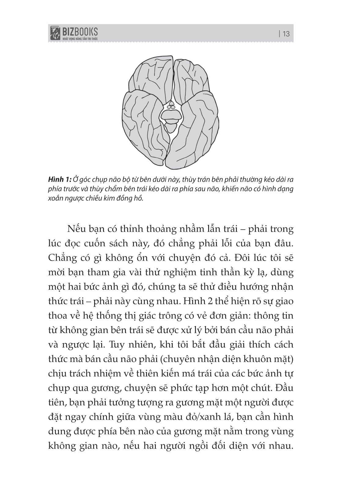 não trái não phải và cách chúng ảnh hưởng đến hành vi hằng ngày của chúng ta - Ảnh 10
