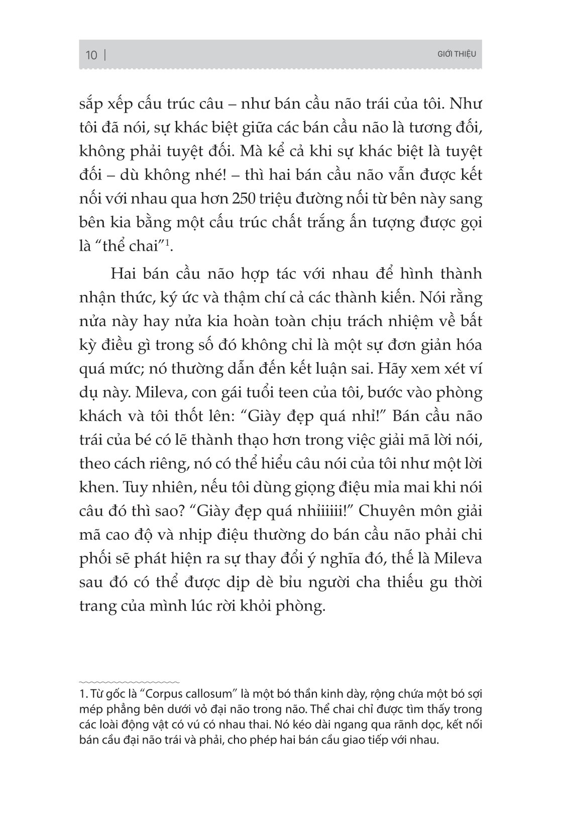 não trái não phải và cách chúng ảnh hưởng đến hành vi hằng ngày của chúng ta - Ảnh 7