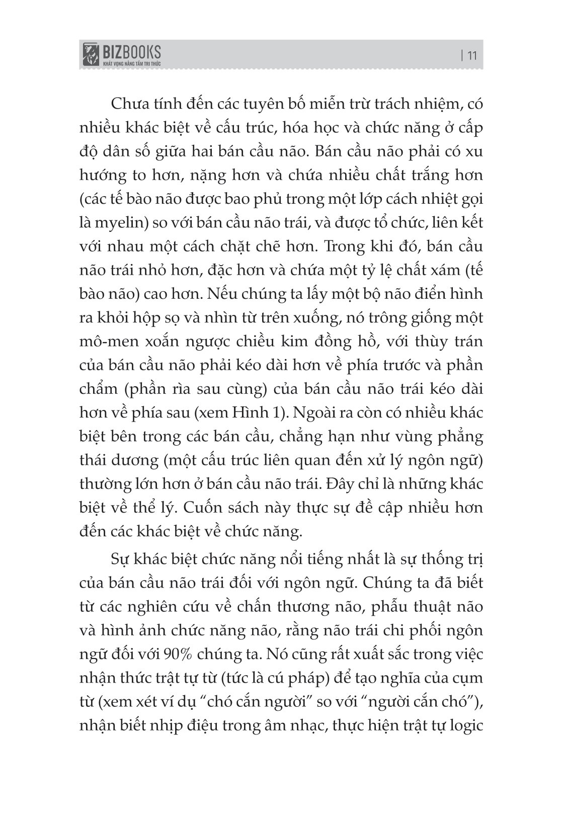 não trái não phải và cách chúng ảnh hưởng đến hành vi hằng ngày của chúng ta - Ảnh 8
