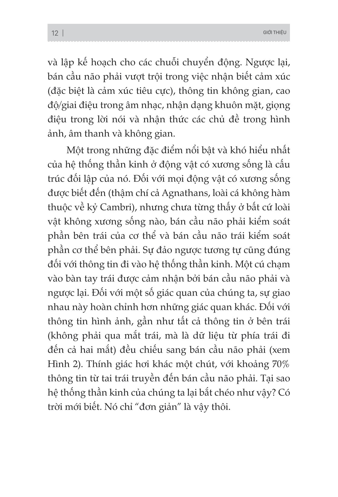 não trái não phải và cách chúng ảnh hưởng đến hành vi hằng ngày của chúng ta - Ảnh 9