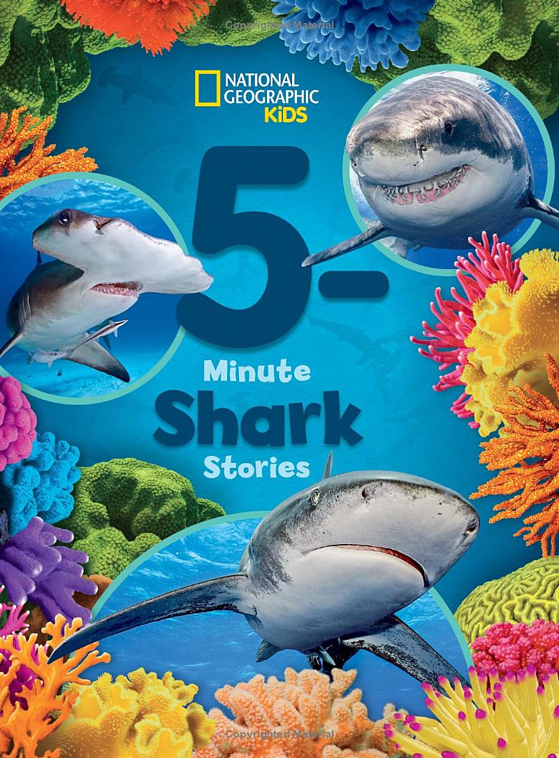national geographic kids 5-minute shark stories - Ảnh 2