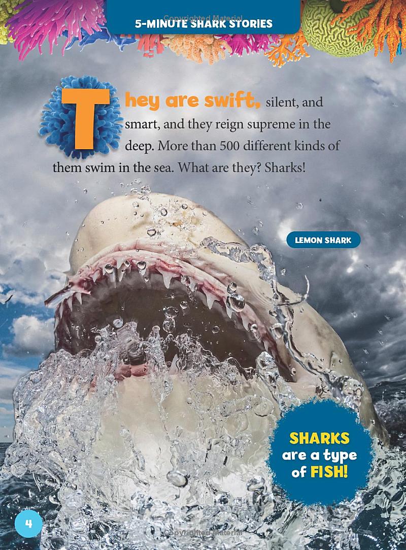 national geographic kids 5-minute shark stories - Ảnh 5