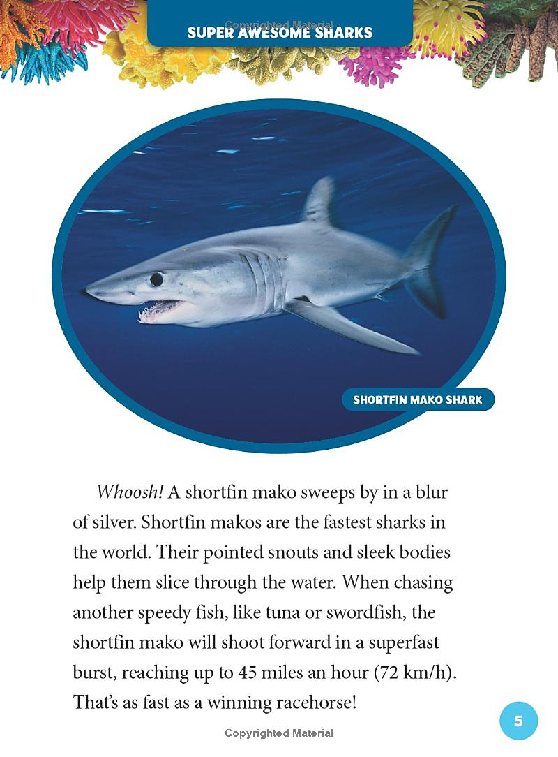 national geographic kids 5-minute shark stories - Ảnh 6