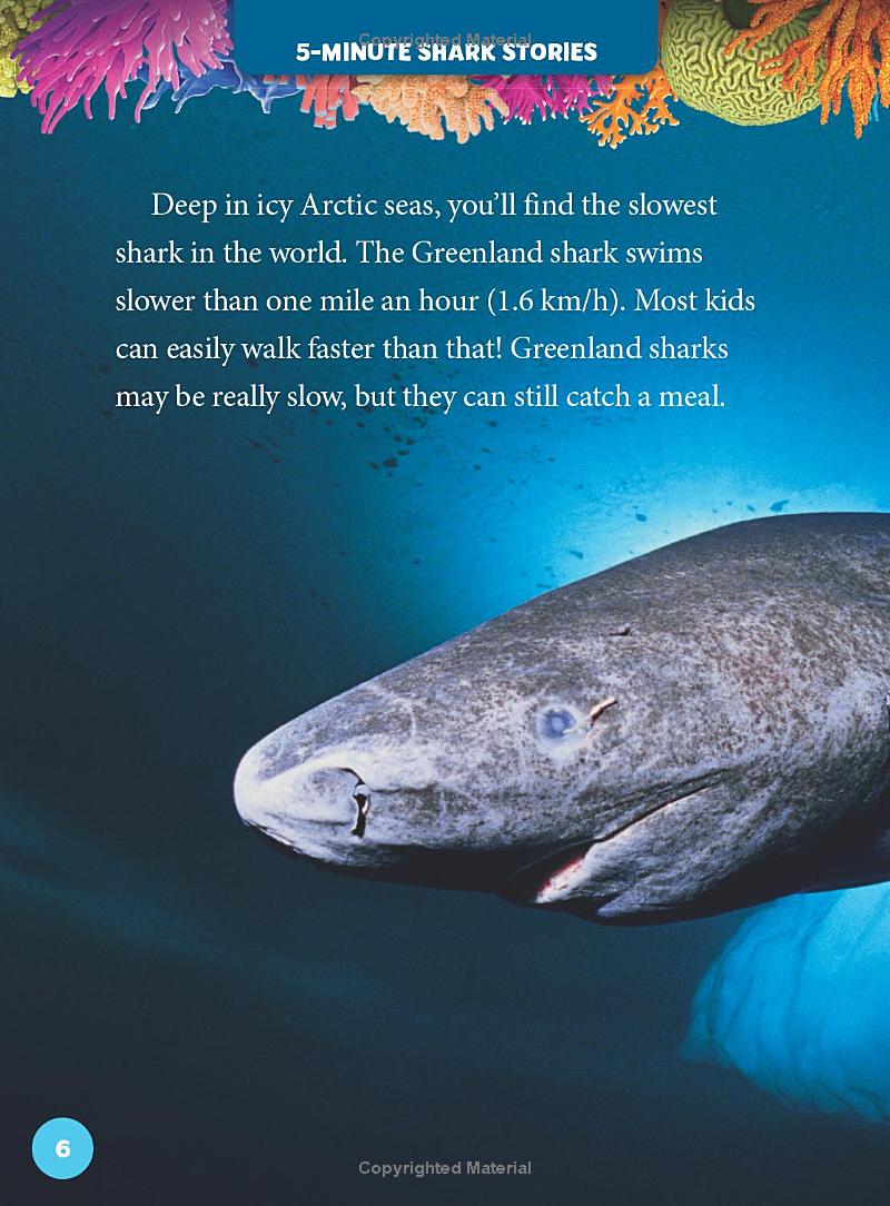 national geographic kids 5-minute shark stories - Ảnh 7
