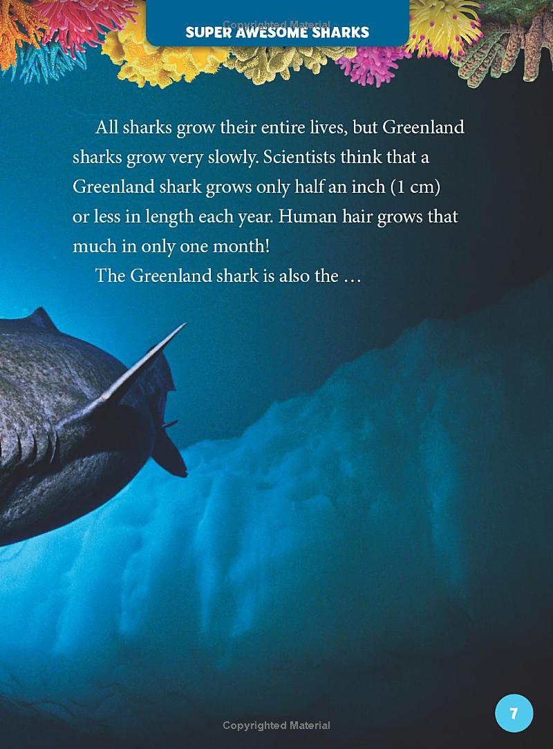 national geographic kids 5-minute shark stories - Ảnh 8