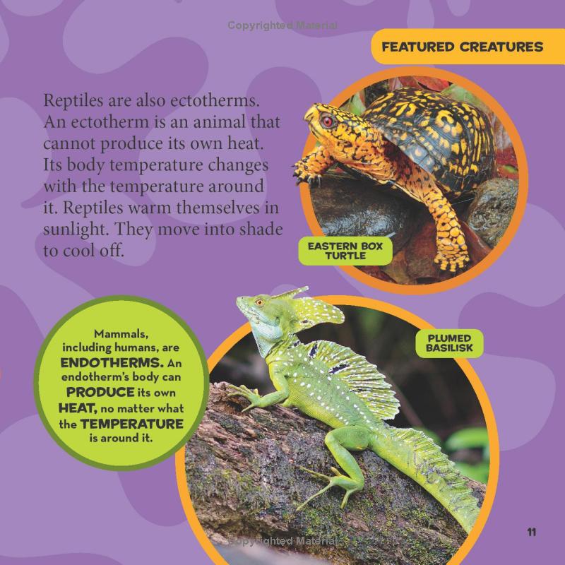 national geographic kids little kids first big book of reptiles and amphibians - Ảnh 10