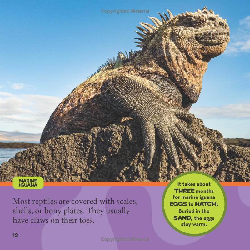 national geographic kids little kids first big book of reptiles and amphibians - Ảnh 11