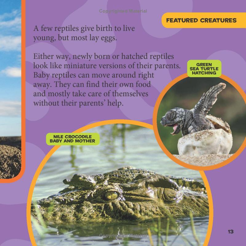national geographic kids little kids first big book of reptiles and amphibians - Ảnh 12