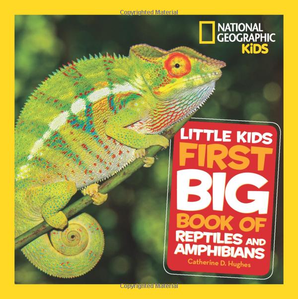 national geographic kids little kids first big book of reptiles and amphibians - Ảnh 2