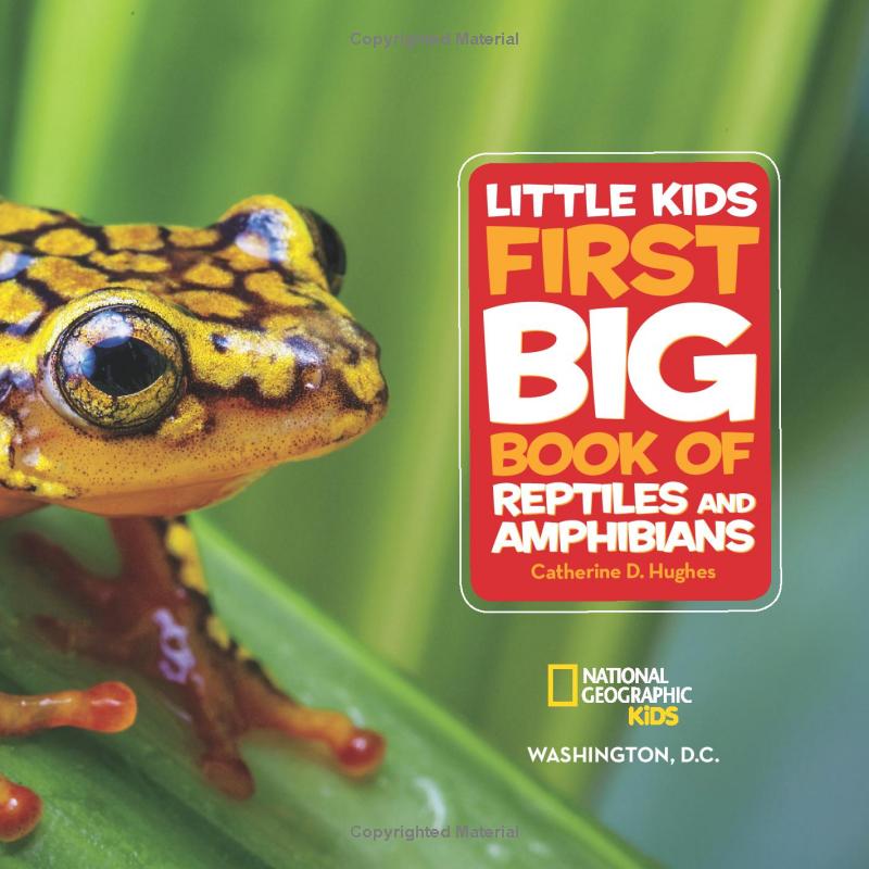 national geographic kids little kids first big book of reptiles and amphibians - Ảnh 5