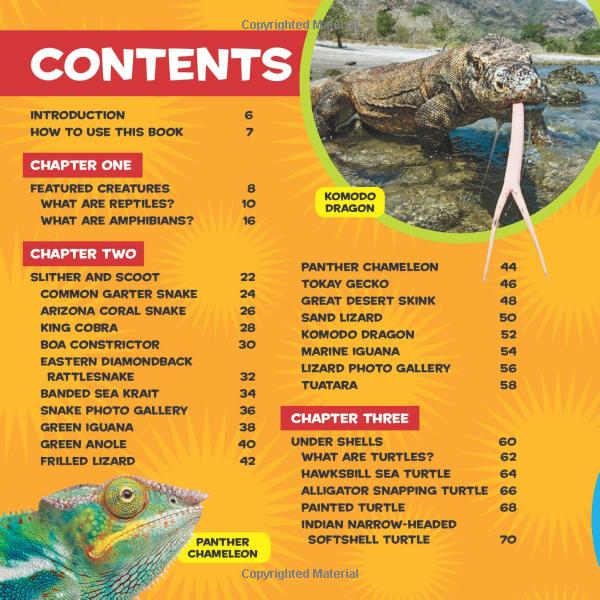 national geographic kids little kids first big book of reptiles and amphibians - Ảnh 6
