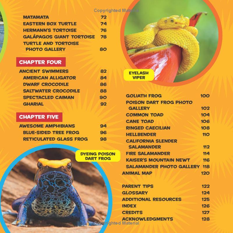 national geographic kids little kids first big book of reptiles and amphibians - Ảnh 7