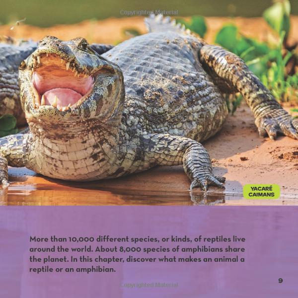 national geographic kids little kids first big book of reptiles and amphibians - Ảnh 8