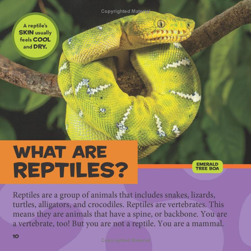 national geographic kids little kids first big book of reptiles and amphibians - Ảnh 9