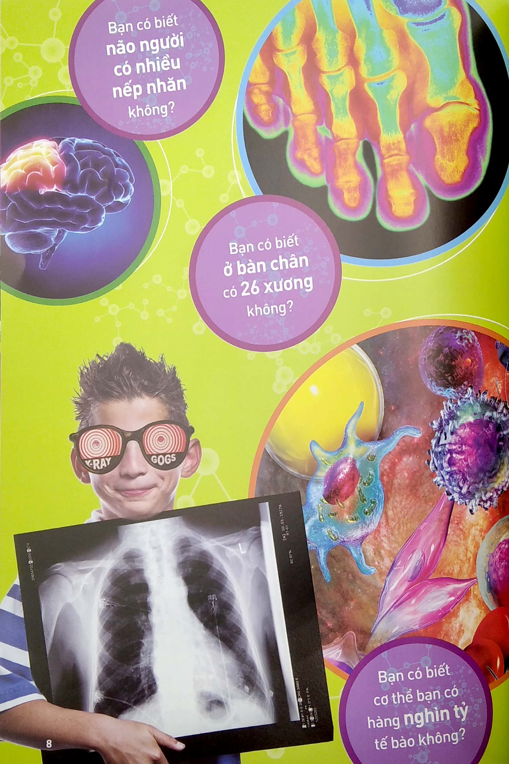 national geographic kids - tất tần tật về cơ thể người - Ảnh 5