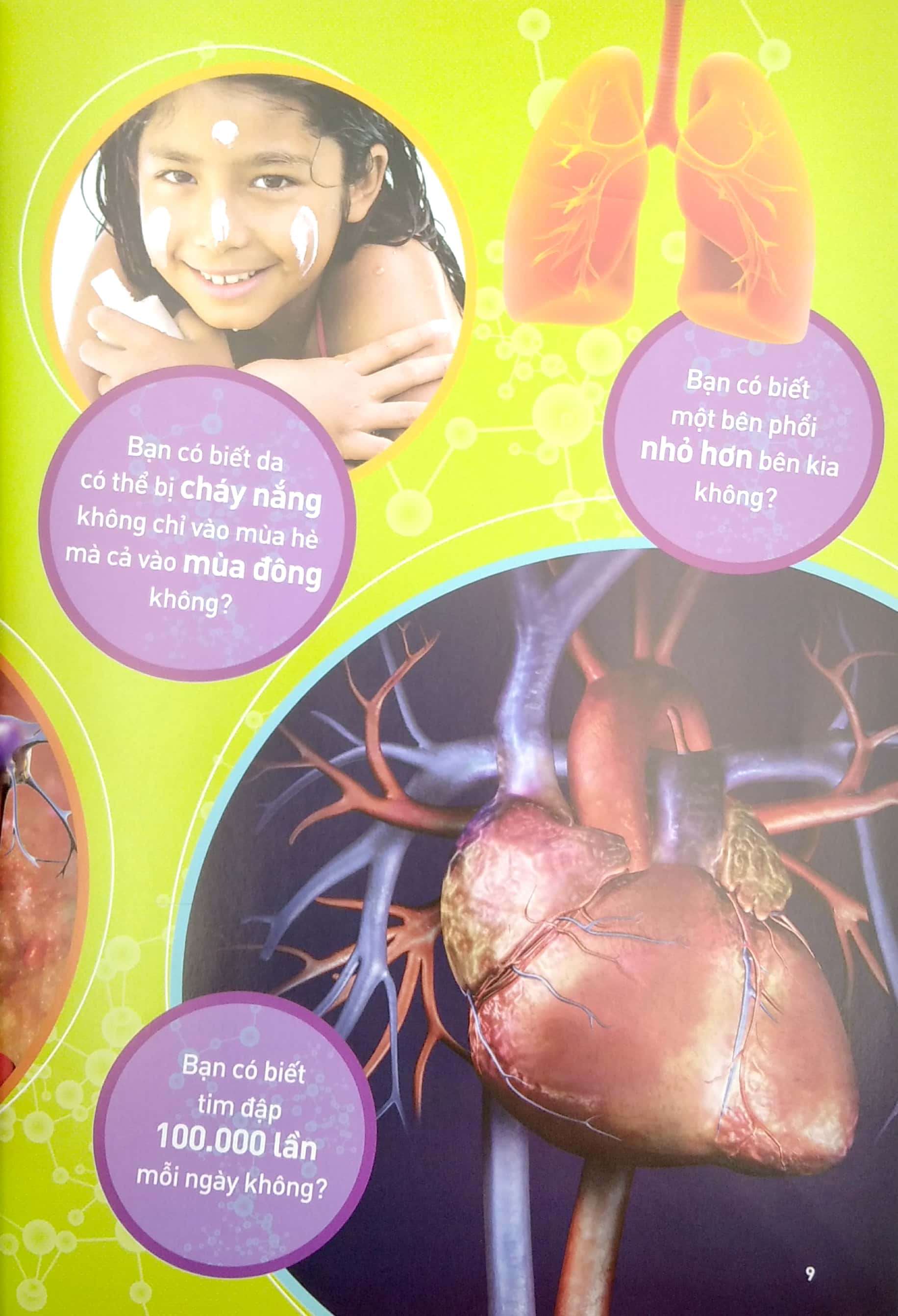 national geographic kids - tất tần tật về cơ thể người - Ảnh 6