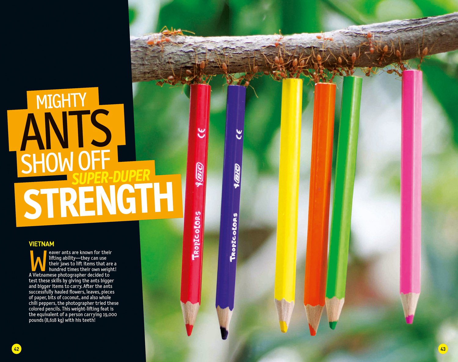 national geographic kids weird but true!: ripped from the headlines: real-life stories you have to read to believe - Ảnh 5