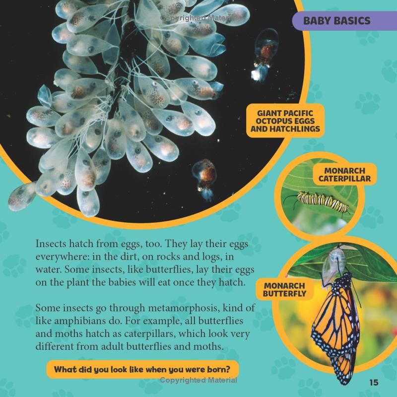 national geographic little kids first big book of baby animals - Ảnh 10