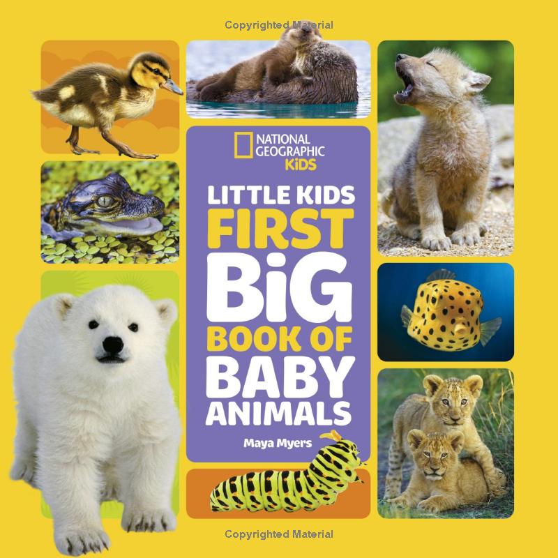 national geographic little kids first big book of baby animals - Ảnh 2