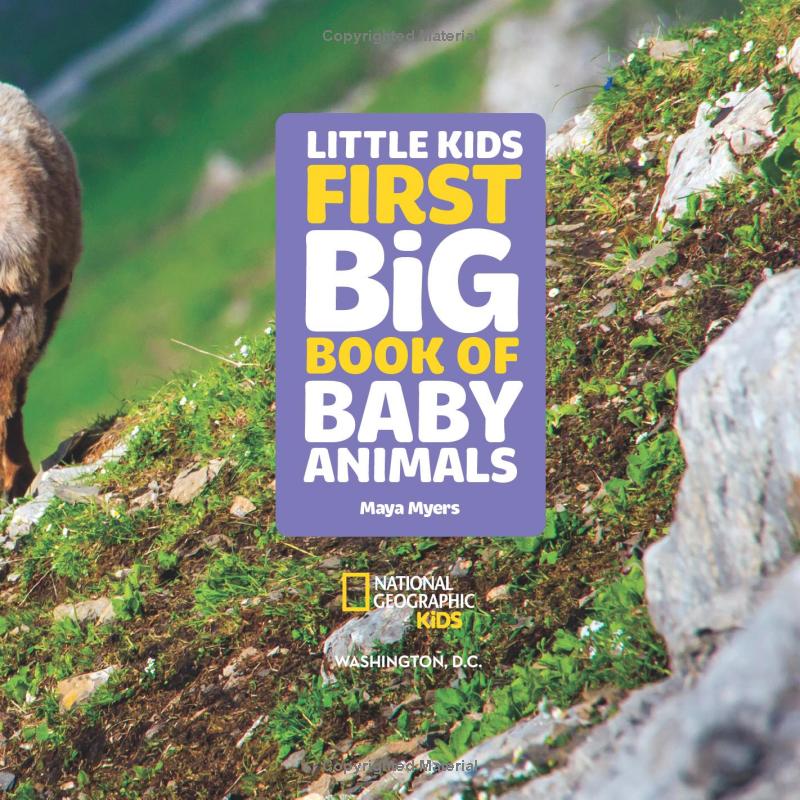 national geographic little kids first big book of baby animals - Ảnh 5