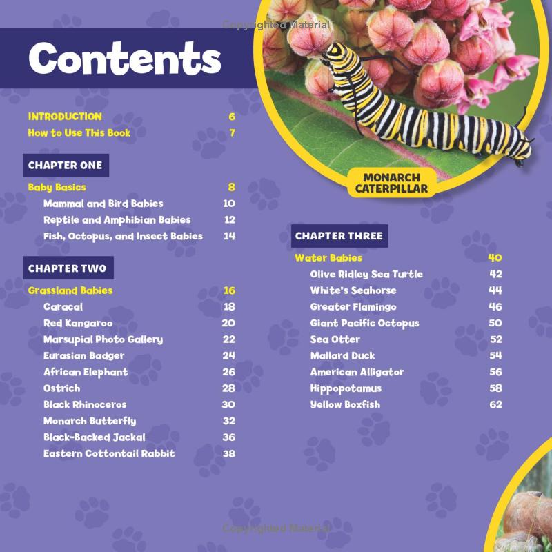 national geographic little kids first big book of baby animals - Ảnh 6