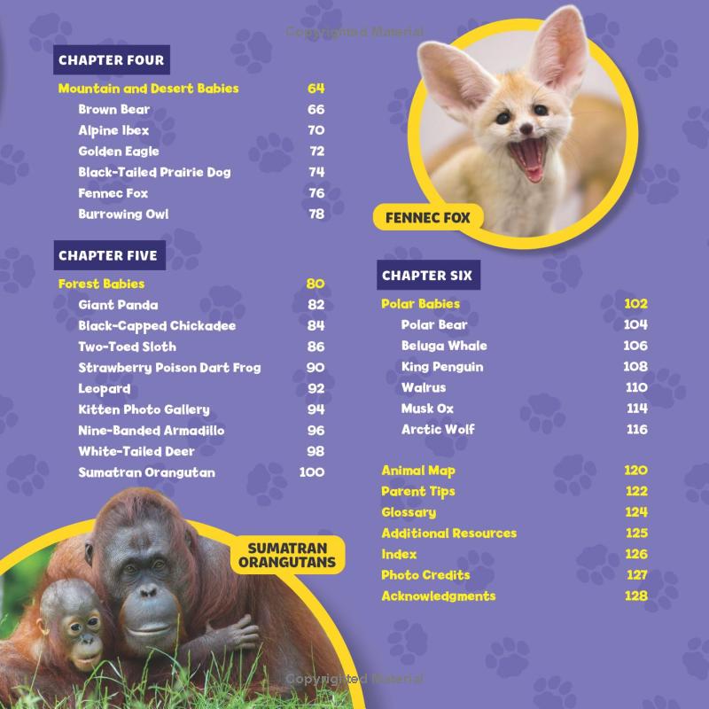 national geographic little kids first big book of baby animals - Ảnh 7