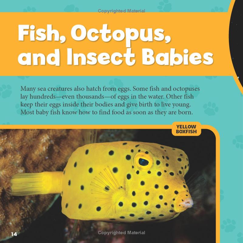 national geographic little kids first big book of baby animals - Ảnh 9