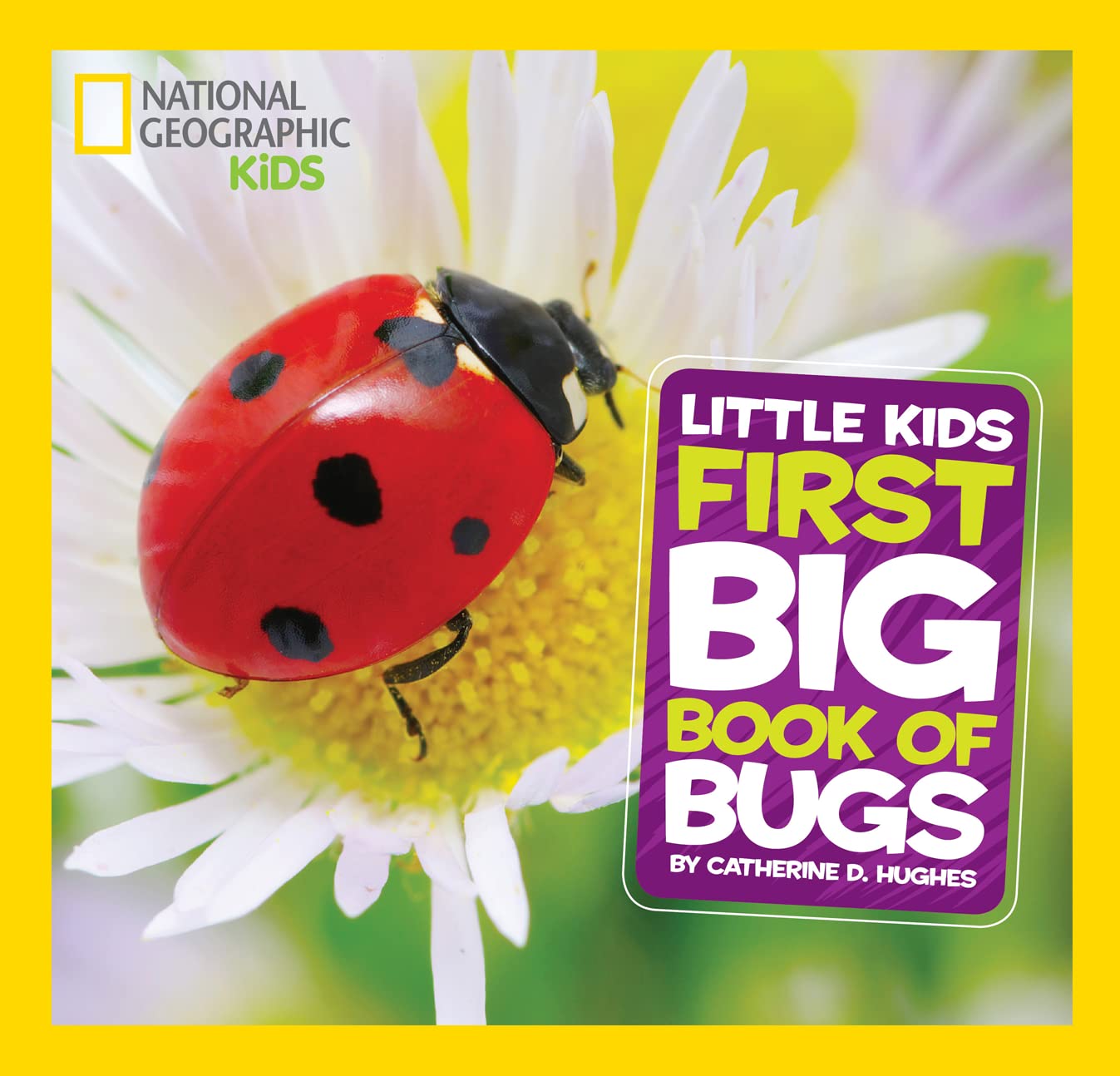national geographic little kids first big book of bugs - Ảnh 2