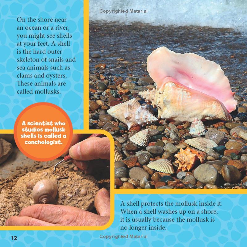 national geographic little kids first big book of rocks, minerals & shells - Ảnh 10