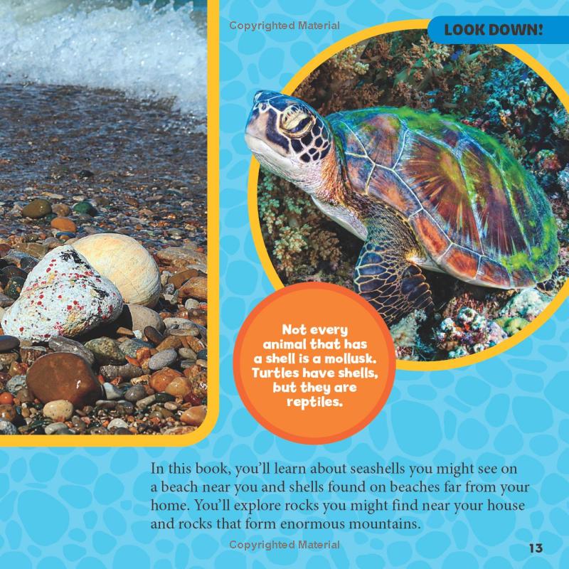 national geographic little kids first big book of rocks, minerals & shells - Ảnh 11